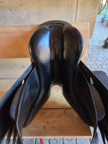 Selle forestier