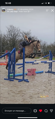 Top ponette pfs 