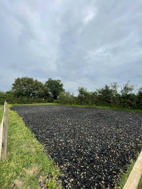 Terrain chevaux