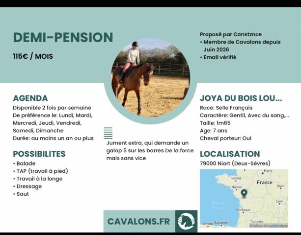 Demi pension 