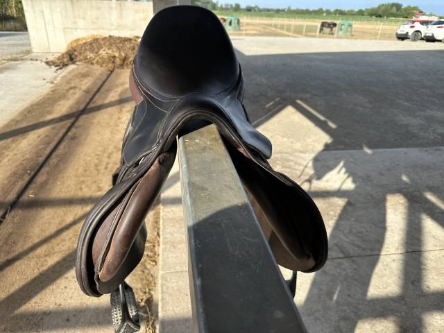 Selle equiline