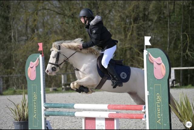 Superbe ponette 1m40