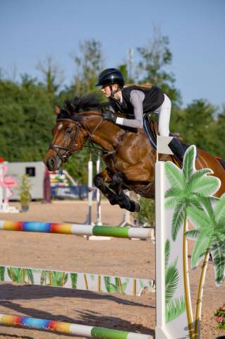 Poney de cso performant à vendre 