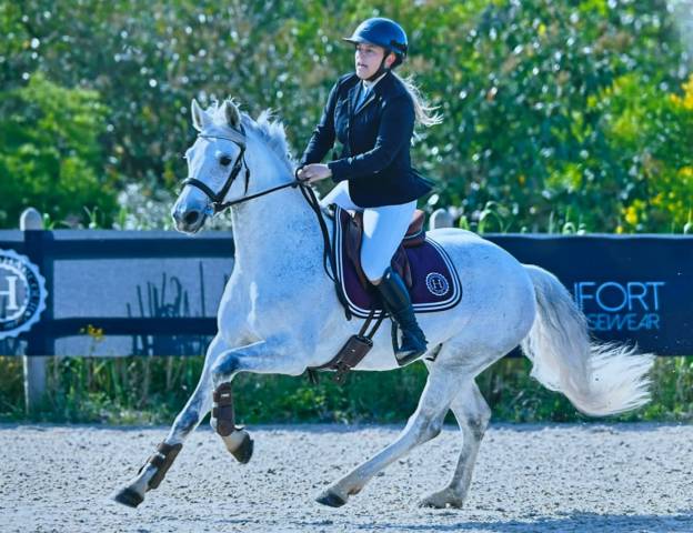 Poney d sport 