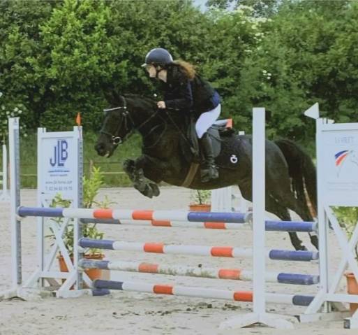 Super poney d de concours 