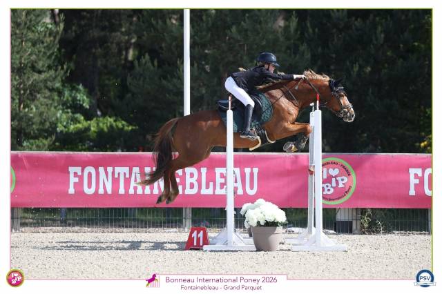 Ponette pfs à vendre