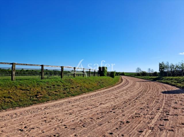 Centre d'entrainement trotteurs