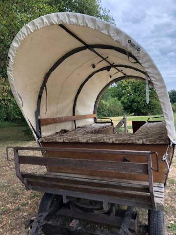 Caleche hippomobile