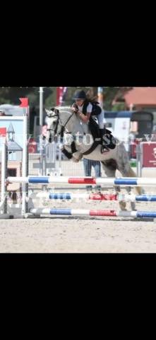 Ponette b