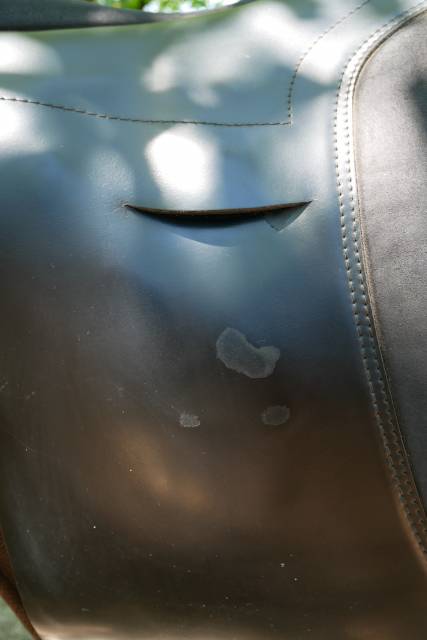 Selle ghost torino sans arçon