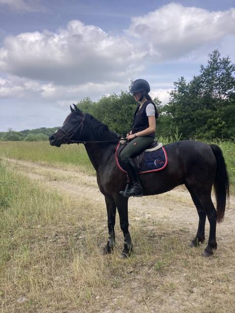 Ponette de cso 8 ans à vendre