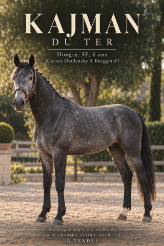 Kajman du ter (cornet obolinski x burggraaf) h 6 ans