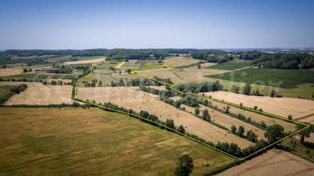 à 15 min de duras et de pineuilh, sur près de 14 hect