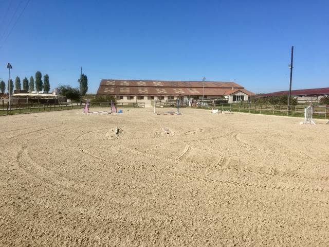 Centre équestre professionnel en seine et marne