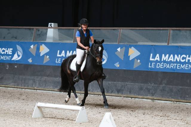 Hongre pfs de 3 ans