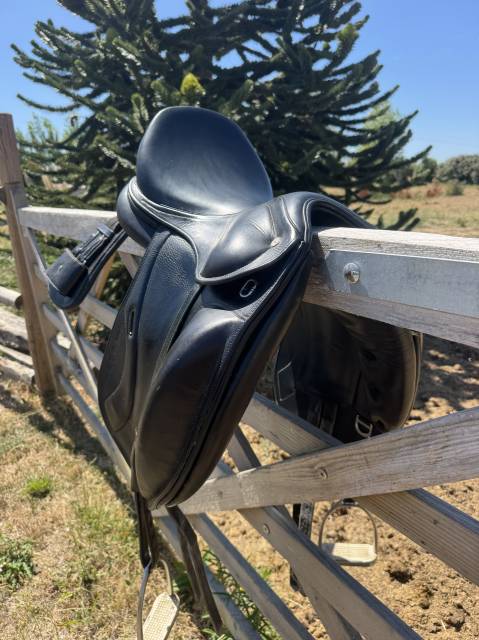 Selle ikonic dressage 17