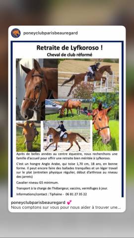 Don de cheval retraite