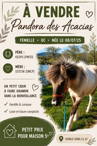 Un petit coeur à faire grandir dans la bienveillance.