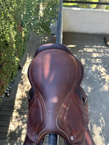 Selle cwd 2gs mademoiselle a vendre
