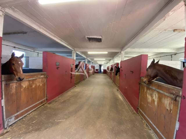 Centre d'entrainement pour chevaux - 11 ha