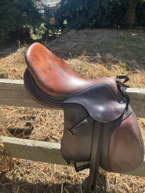 Selle antares 17,5
