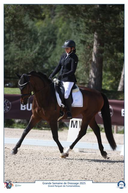 Cheval dressage 6 ans 