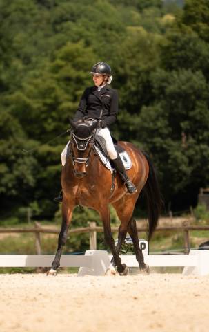 Cheval dressage pro3/amat 1 gp