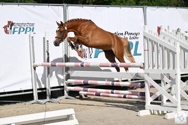 Ponette pfs 5 ans - sport