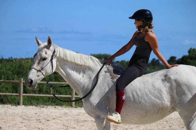 Jument de club - très gentille - charmeuse - 14 ans