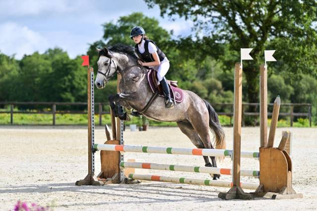 Poney à vendre