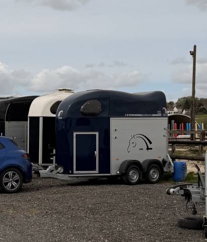 Location de van 1 place et demi - transport de chevaux