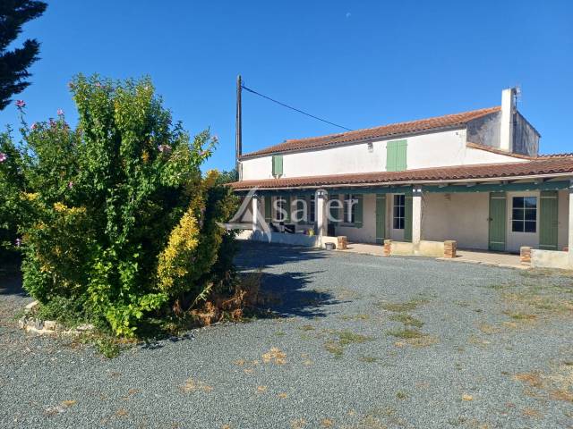Propriété agricole dans le marais