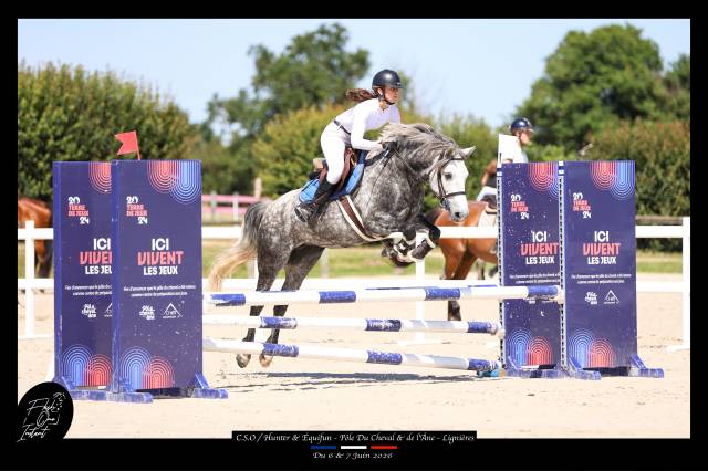Ponette d connemara 7 ans - idéal cce / cso / hunter