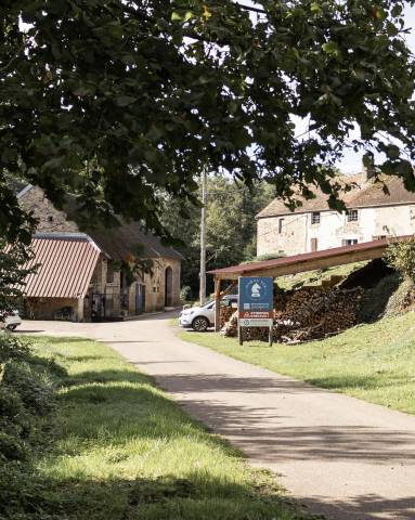Pension élevage - poulinières & jeunes chevaux