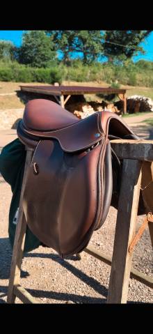 Selle forestier séoul 2025