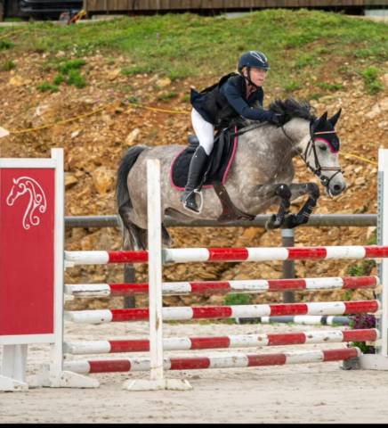 Top poney  as1
