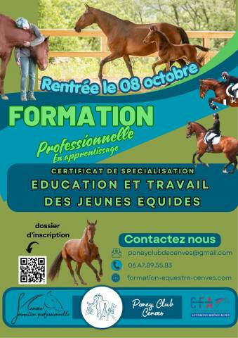 Formation cs éducation et travail du jeune équidé