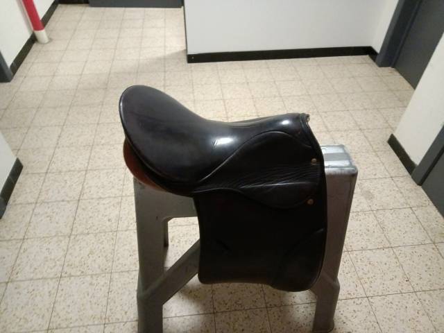 Selle stubben 16,5