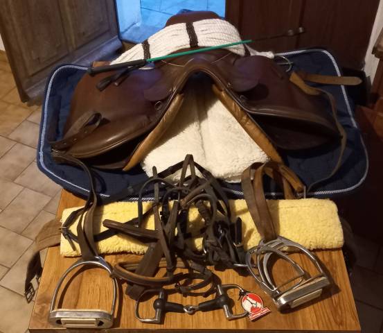 Selle occasion terry's