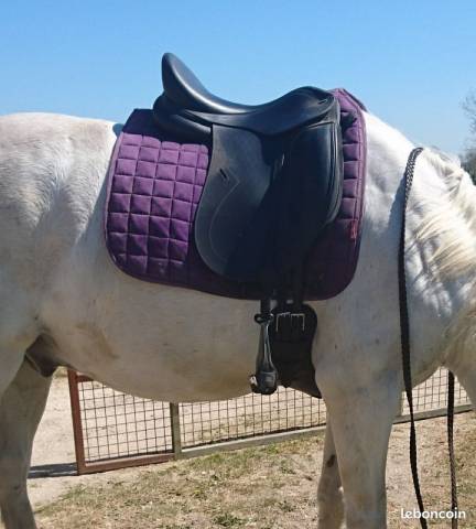 Selle dressage tekna 17,5