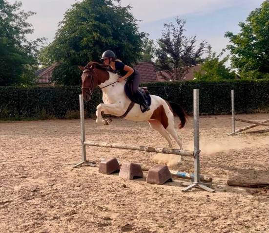 Urkanna hapiness, magnifique jument de 5 ans