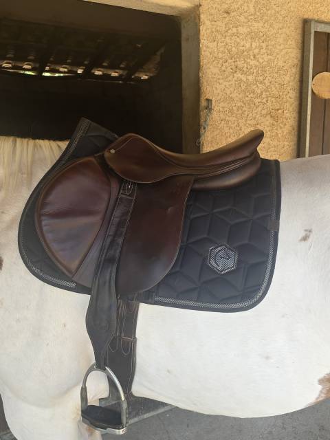 Selle antares 17,5