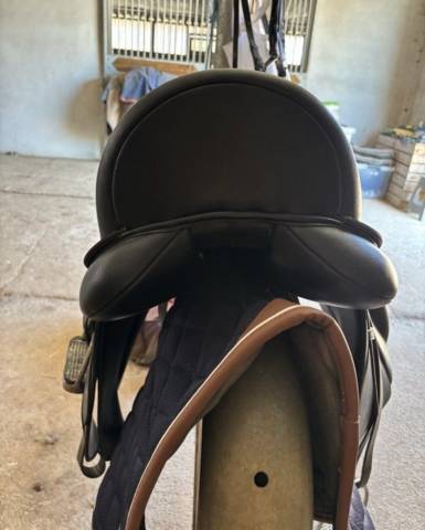 Selle lexhis dressage 