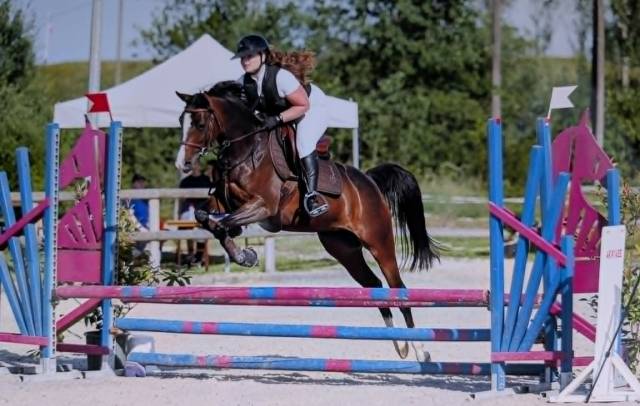 Magnifique jument welsh part bred