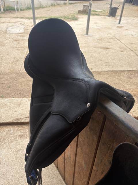 Selle dressage wintec