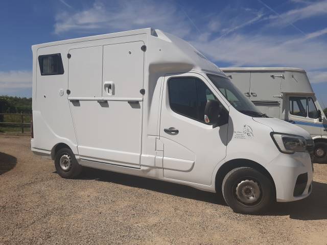 Renault master transport chevaux