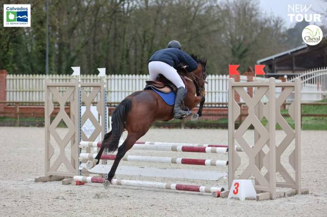 Cheval 5 ans