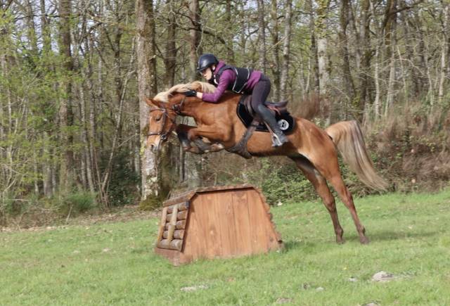 Ponette co as2/1 à louer ou vendre