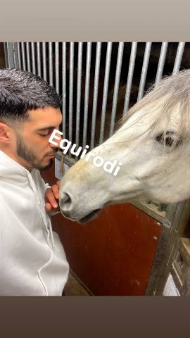 Sofien 37 ans disponible pour poste de palefrenier 