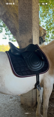 Selle premier équine dressage